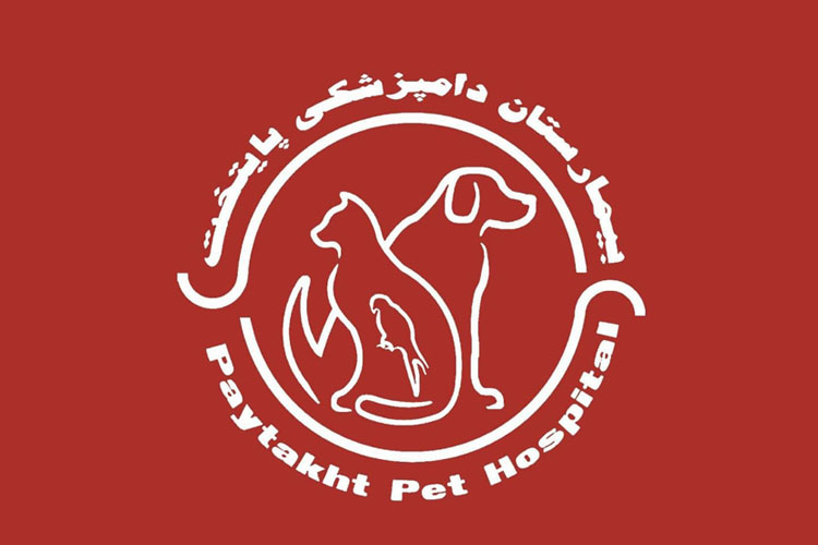 بیمارستان دامپزشکی پایتخت