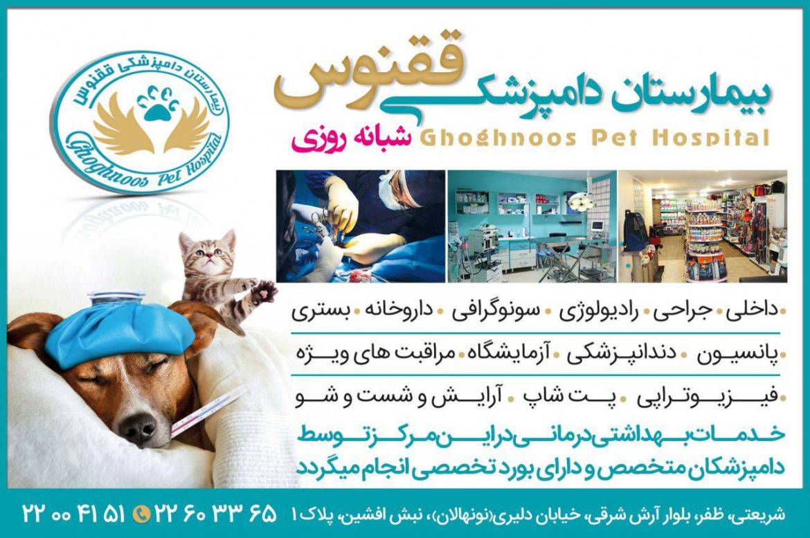 بیمارستان دامپزشکی ققنوس